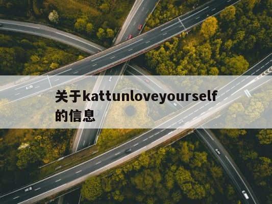 关于kattunloveyourself的信息 第1张