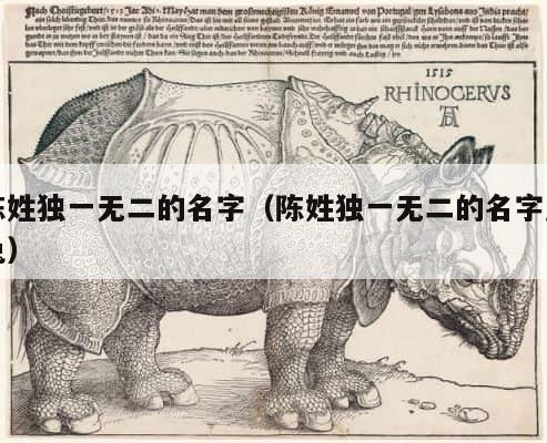 陈姓独一无二的名字（陈姓独一无二的名字属兔） 第1张