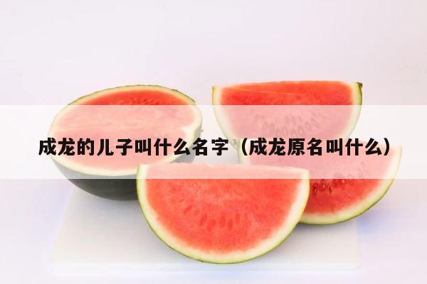 成龙的儿子叫什么名字（成龙原名叫什么） 第1张