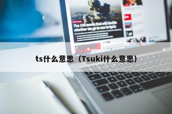 ts什么意思（Tsuki什么意思） 第1张