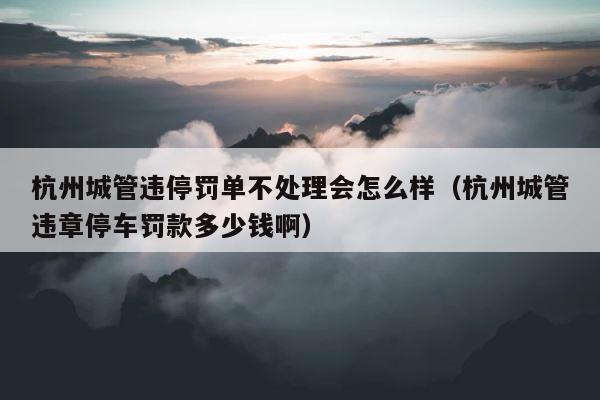 杭州城管违停罚单不处理会怎么样（杭州城管违章停车罚款多少钱啊） 第1张
