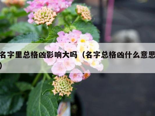 名字里总格凶影响大吗（名字总格凶什么意思） 第1张