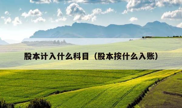股本计入什么科目（股本按什么入账） 第1张