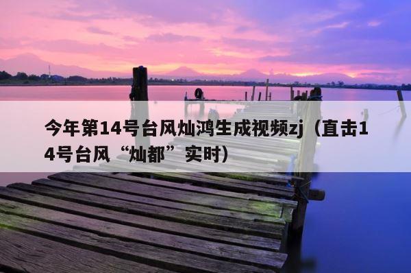 今年第14号台风灿鸿生成视频zj（直击14号台风“灿都”实时） 第1张