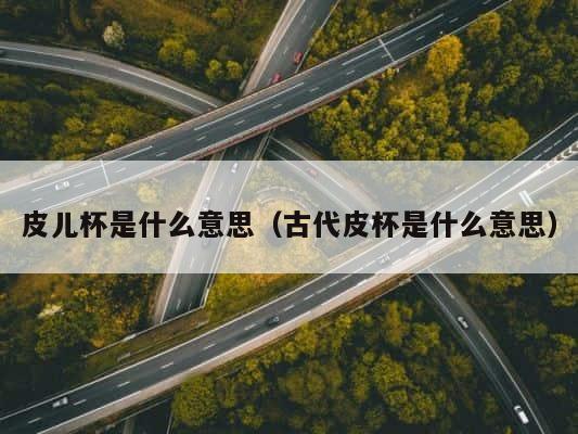 皮儿杯是什么意思（古代皮杯是什么意思） 第1张