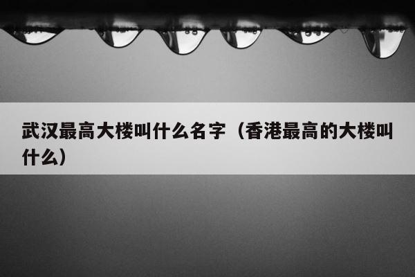 武汉最高大楼叫什么名字（香港最高的大楼叫什么） 第1张