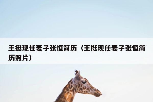 王挺现任妻子张恒简历（王挺现任妻子张恒简历照片） 第1张