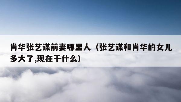 肖华张艺谋前妻哪里人（张艺谋和肖华的女儿多大了,现在干什么） 第1张