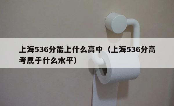 上海536分能上什么高中（上海536分高考属于什么水平） 第1张