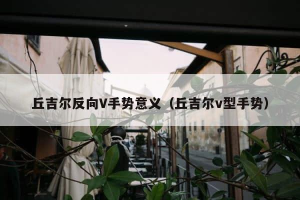 丘吉尔反向V手势意义（丘吉尔v型手势） 第1张