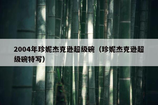 2004年珍妮杰克逊超级碗（珍妮杰克逊超级碗特写） 第1张