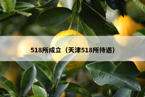 518所成立（天津518所待遇） 第1张