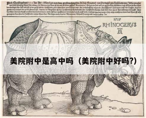 美院附中是高中吗（美院附中好吗?） 第1张