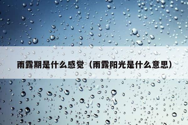 雨露期是什么感觉（雨露阳光是什么意思） 第1张