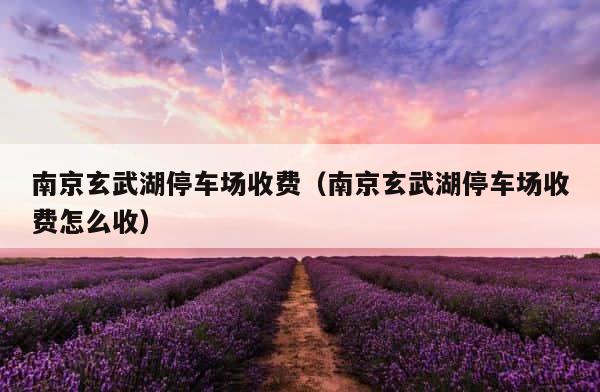 南京玄武湖停车场收费（南京玄武湖停车场收费怎么收） 第1张
