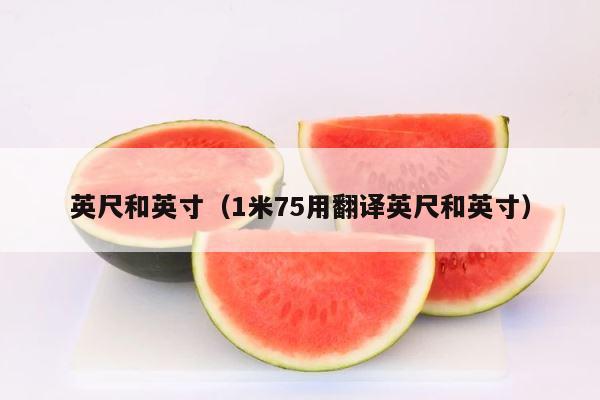 英尺和英寸（1米75用翻译英尺和英寸） 第1张