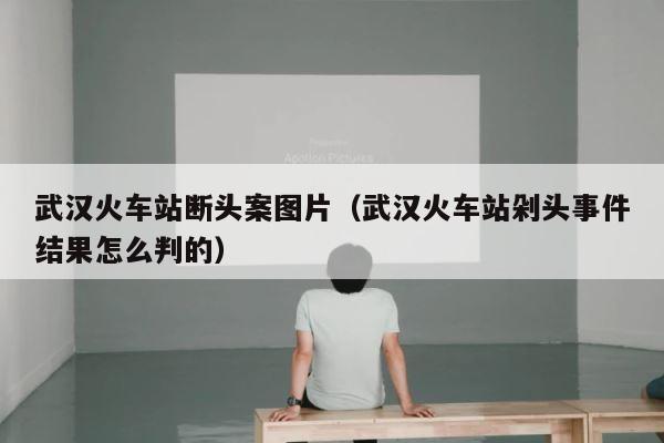 武汉火车站断头案图片（武汉火车站剁头事件结果怎么判的） 第1张