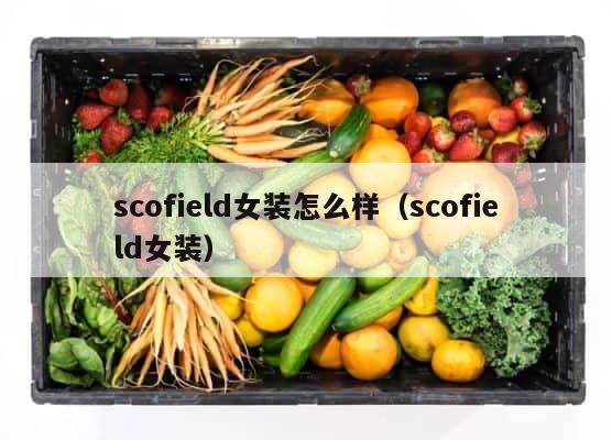 scofield女装怎么样（scofield女装） 第1张