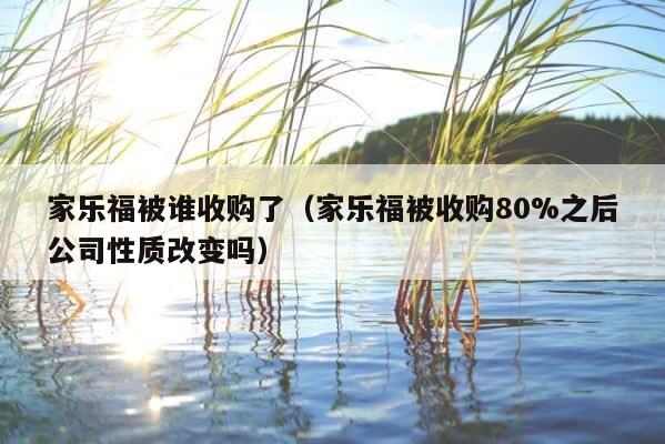家乐福被谁收购了（家乐福被收购80%之后公司性质改变吗） 第1张