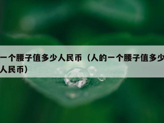 一个腰子值多少人民币（人的一个腰子值多少人民币） 第1张