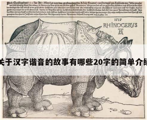 关于汉字谐音的故事有哪些20字的简单介绍 第1张