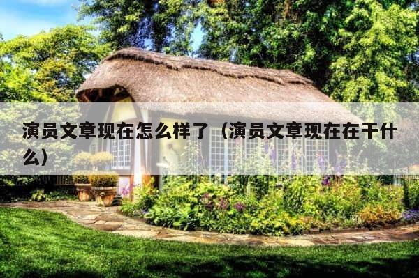 演员文章现在怎么样了（演员文章现在在干什么） 第1张