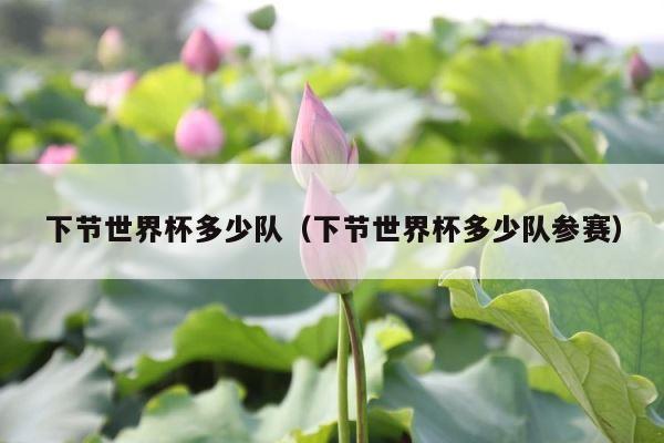 下节世界杯多少队（下节世界杯多少队参赛） 第1张