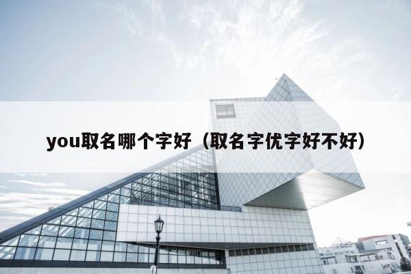 you取名哪个字好（取名字优字好不好） 第1张