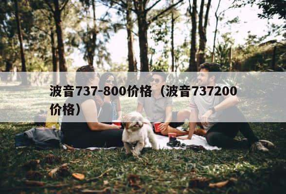 波音737-800价格（波音737200价格） 第1张