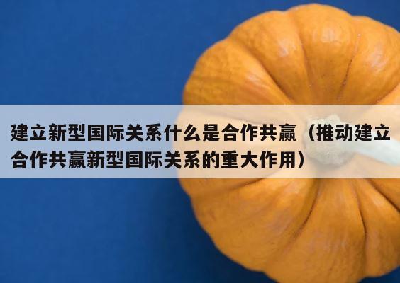 建立新型国际关系什么是合作共赢（推动建立合作共赢新型国际关系的重大作用） 第1张