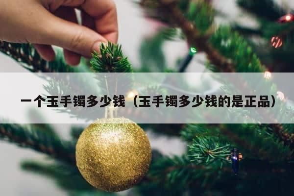 一个玉手镯多少钱（玉手镯多少钱的是正品） 第1张