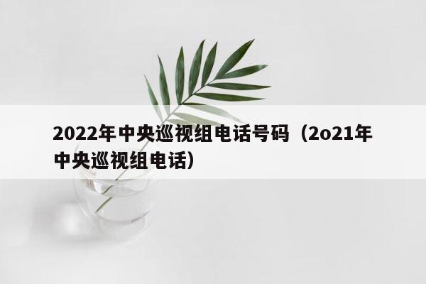 2022年中央巡视组电话号码（2o21年中央巡视组电话） 第1张