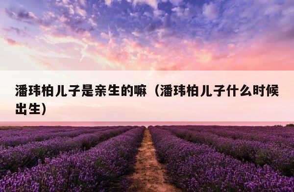 潘玮柏儿子是亲生的嘛（潘玮柏儿子什么时候出生） 第1张