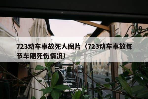 723动车事故死人图片（723动车事故每节车厢死伤情况） 第1张