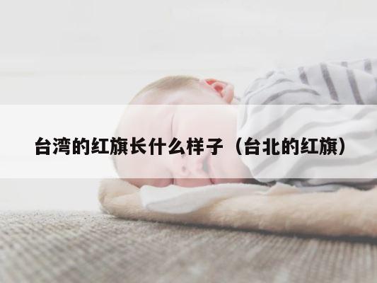 台湾的红旗长什么样子（台北的红旗） 第1张