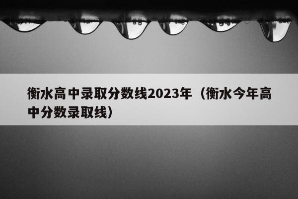 衡水高中录取分数线2023年（衡水今年高中分数录取线） 第1张