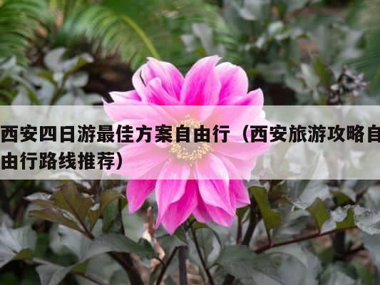 西安四日游最佳方案自由行（西安旅游攻略自由行路线推荐） 第1张