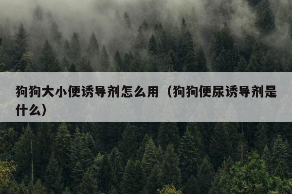 狗狗大小便诱导剂怎么用（狗狗便尿诱导剂是什么） 第1张