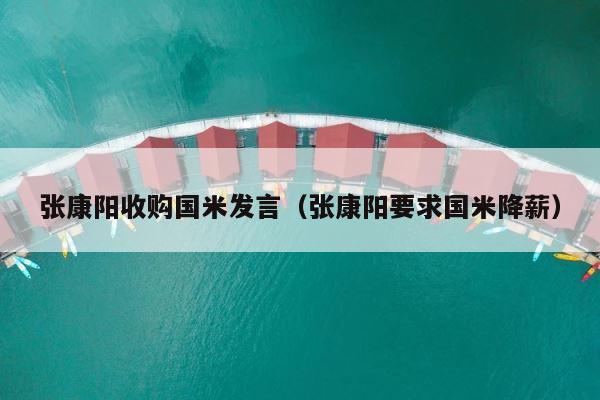 张康阳收购国米发言（张康阳要求国米降薪） 第1张