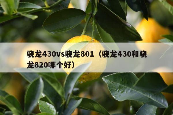 骁龙430vs骁龙801（骁龙430和骁龙820哪个好） 第1张