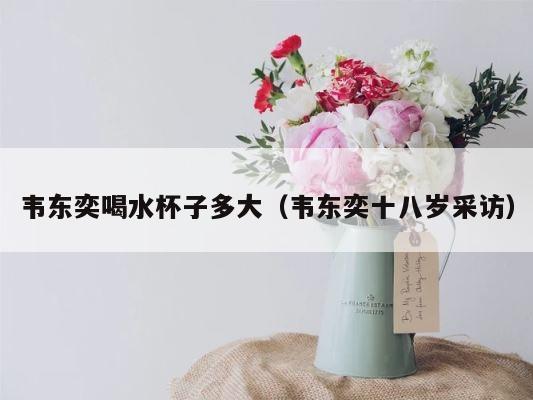 韦东奕喝水杯子多大（韦东奕十八岁采访） 第1张