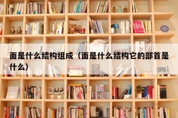 面是什么结构组成（面是什么结构它的部首是什么） 第1张