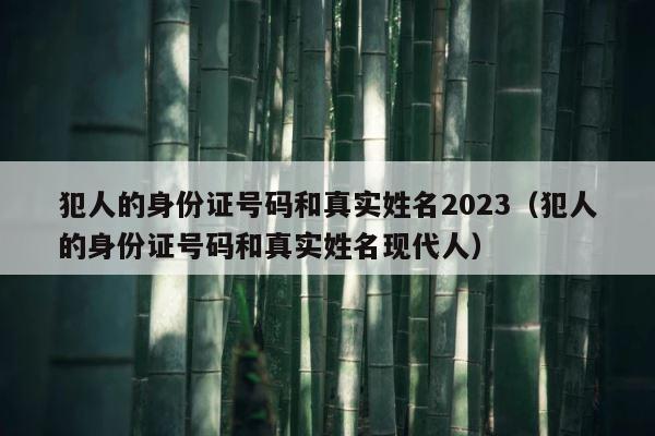 犯人的身份证号码和真实姓名2023（犯人的身份证号码和真实姓名现代人） 第1张