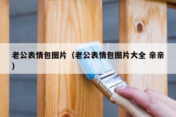 老公表情包图片（老公表情包图片大全 亲亲） 第1张