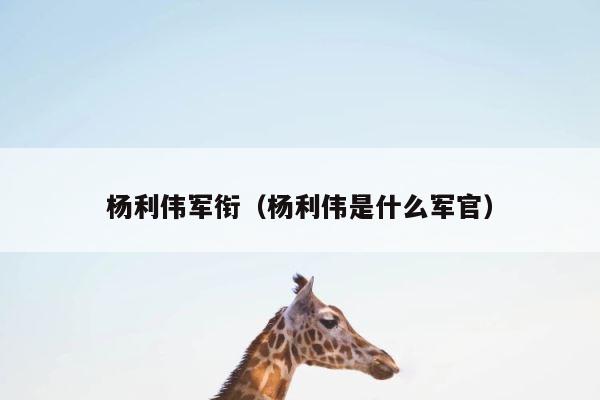 杨利伟军衔（杨利伟是什么军官） 第1张