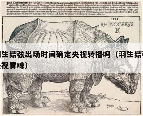 羽生结弦出场时间确定央视转播吗（羽生结弦央视青睐） 第1张