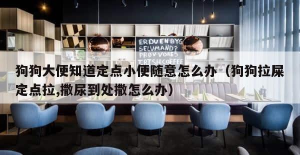 狗狗大便知道定点小便随意怎么办（狗狗拉屎定点拉,撒尿到处撒怎么办） 第1张