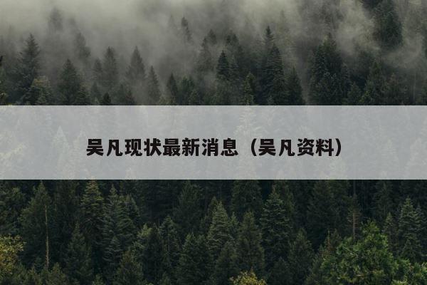 吴凡现状最新消息（吴凡资料） 第1张