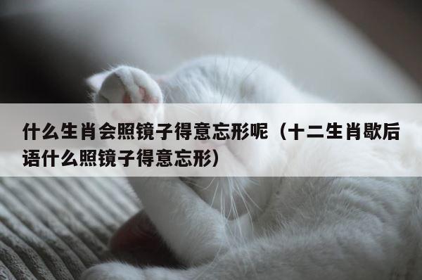 什么生肖会照镜子得意忘形呢（十二生肖歇后语什么照镜子得意忘形） 第1张