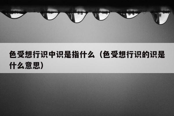 色受想行识中识是指什么（色受想行识的识是什么意思） 第1张